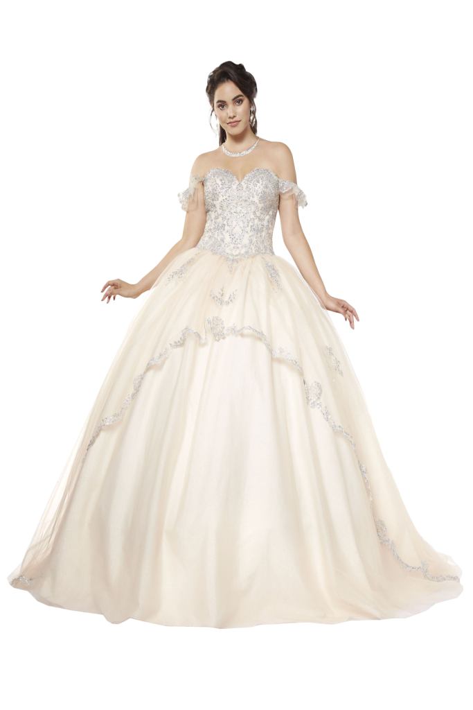 Bridal Dress - 5000